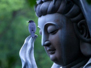 Kuan-Yin-and-Bird